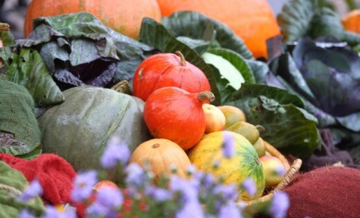 In the Ethnographic museum the holiday of an autumn crop will take place