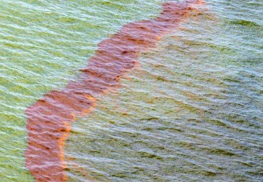 В реку в Рундале вылилось большое количество нефтепродуктов