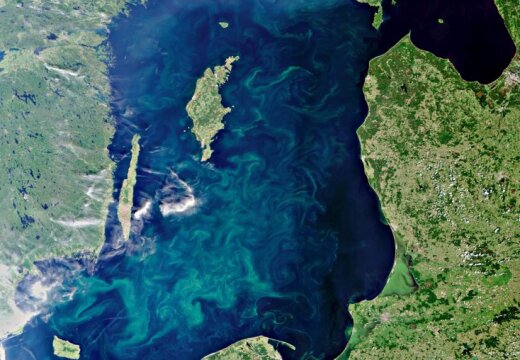 В Балтийском море обнаружена опасная бактерия: один умерший