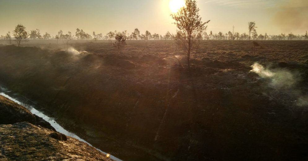 Kurzemē evakuē iedzīvotājus no Stikliem meža un kūdras ugunsgrēka dēļ