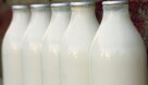 Суд начал процесс правовой защиты молочного предприятия Elpa – оно остановило производство из-за подорожания ресурсов