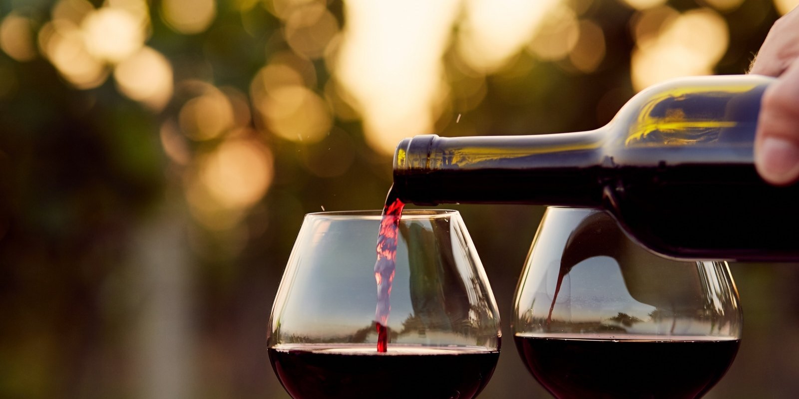 Пиво, водка, вино и ликеры: какой алкоголь наименее вредный?