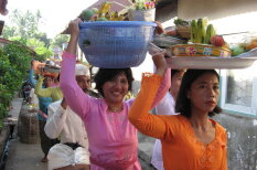 Latviešu ceļotāji ar močiem teju iesprūst Indonēzijā - &#x27;Ceļā uz brīvību&#x27; 11. daļa