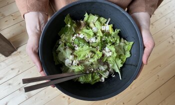 Zaļie Guntas salāti ar gardo cidoniju mērci