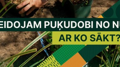Noskaties! Soli pa solim, kā ierīkot puķudobi no nulles
