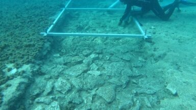 В Средиземном море у побережья Хорватии нашли древнюю дорогу возрастом 7000 лет