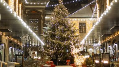 Foto: Viļņas vecpilsēta izrotāta Ziemassvētkiem