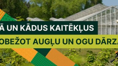 Noskaties! Kaitēkļi augļu dārzā un metodes to ierobežošanai