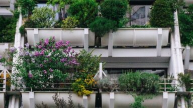 Urbānā dārzkopība: kā ierīkot dārziņu uz balkona un ko tur audzēt vasarā