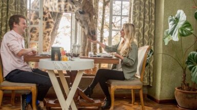 ФОТО. Уникальный опыт в африканском отеле – завтрак с жирафами