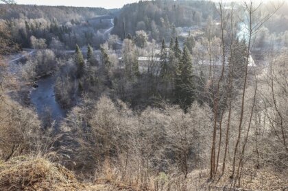 'Satraucoša situācija' – mizgrauzis turpina skādēt Gaujas nacionālā parka mežu