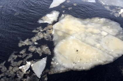 Уровень воды в реках начал снижаться