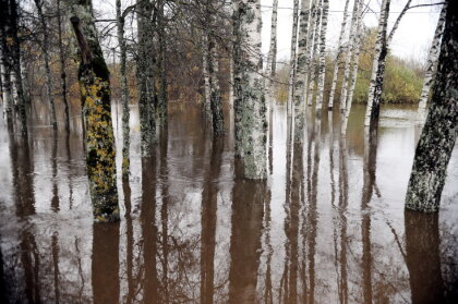 No applūstošām Ādažu privātmājām ar laivu izglābti deviņi cilvēki un divi mājdzīvnieki