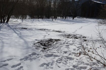 Kultūras mantojuma uzraugi aizsargājamā zonā Dzegužkalna parkā notver mantraci