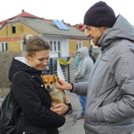 Ukrainas bēgļiem Latvijā uz gadu būs tiesības uz nodarbinātību bez ierobežojumiem