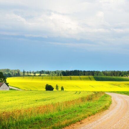 Lauku saimniecību Latvijā kļūst mazāk, bet tās veidojas arvien lielākas