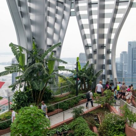 Oāze lielpilsētā – Singapūras jauno debesskrāpi rotā 80 tūkstoši augu