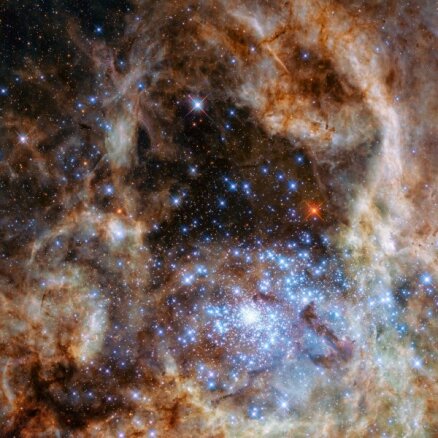 Телескоп Hubble увидел девять гигантских звезд, в 100 раз превосходящих массу Солнца
