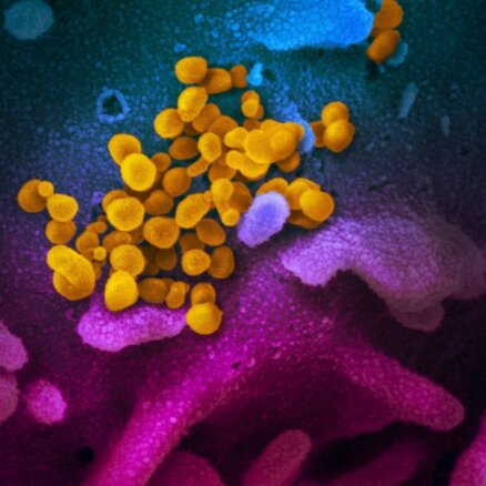 Pētījums: koronavīrusa britu paveids par 64% nāvējošāks nekā sākotnējie paveidi