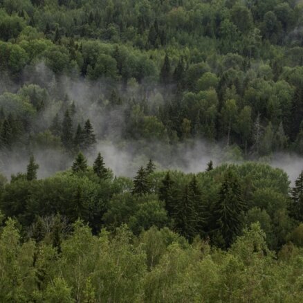 Vēja parki Latvijā: tālāk no sabiedrības acīm – valsts mežos