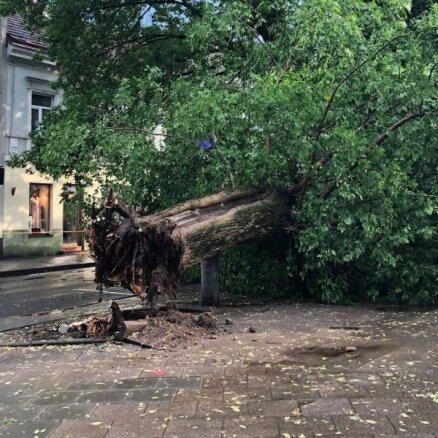 После бури в Литве были перекрыты улицы, повреждены автомобили