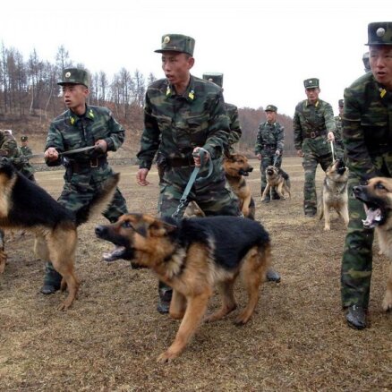 Ziemeļkoreja nosūtīs karavīrus un policistus uz Krievijas okupētajām Ukrainas teritorijām