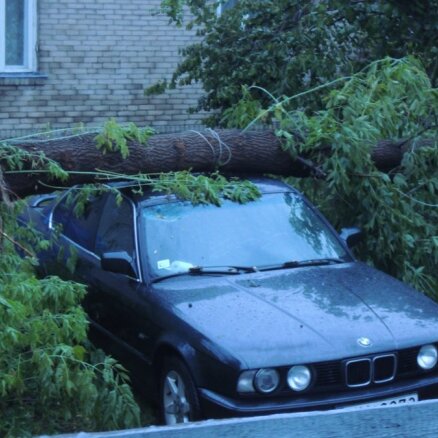 Сильная буря в Даугавпилсе ломала деревья и затопила улицы