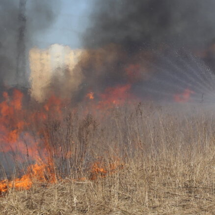 Reģistrēti šogad pirmie kūlas ugunsgrēki – VUGD brīdina par sodiem