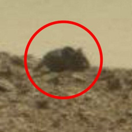 Ufologs uz Marsa pamanījis milzu peli