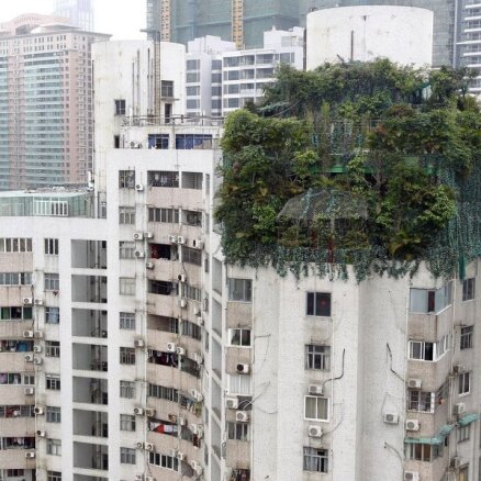 Foto: Ķīnā uz 18 stāvu mājas izaudzēts mežs