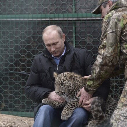 Putins uztur savu mačo imidžu un pozē ar Persijas leopardu