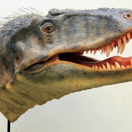 Zinātnieki atraduši tiranozauru 'vectēvu'