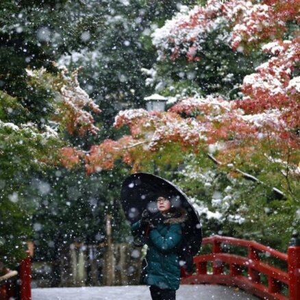 Video: Japāņus pārsteidz novembra sniegs – Tokija neko tādu nav pieredzējusi kopš Kenedija