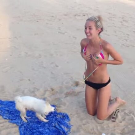 Video: Suns meitenei plēš nost bikini