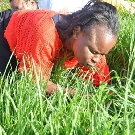 Lai būtu tuvāk Dievam, ticīgajiem liek ēst zāli
