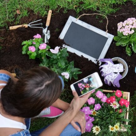 10 mobilās lietotnes, kas noderēs dārza darbos