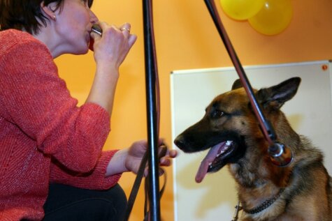 2005. gadā Rīgā norisinājās suņu 'talantu fabrika'