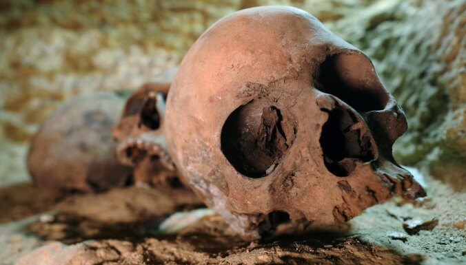 Сенсационная находка: во Франкфурте нашли череп древнего человека