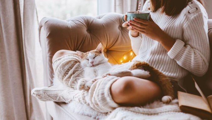 Pieci iemesli, kāpēc kaķim patīk gulēt uz sava saimnieka