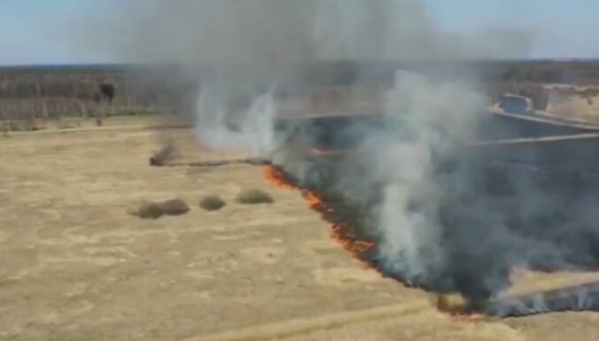 Сильный пожар сухой травы под Бабите: огнем охвачено несколько гектаров