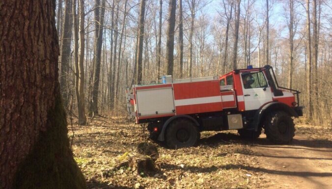 Масштабный пожар в Риге локализован: сгорело 54 гектара
