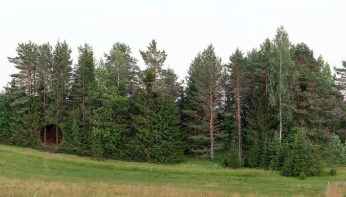 ФОТО. "Что это такое?" Необычная дыра в эстонском лесу стала мировой сенсацией