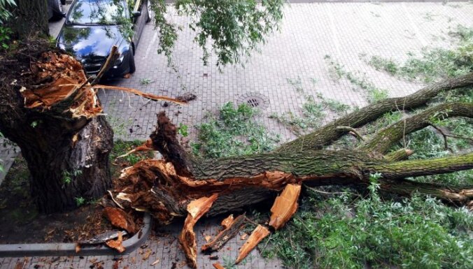 Spēcīgas vēja brāzmas Rīgā gāž kokus un no namiem atplēš ķieģeļus