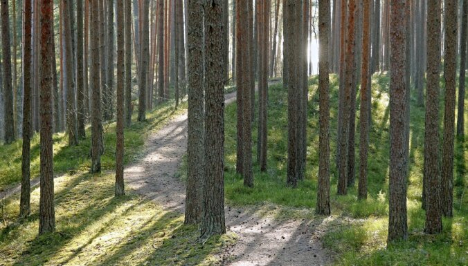 Ievēlēta SIA 'Rīgas meži' padome
