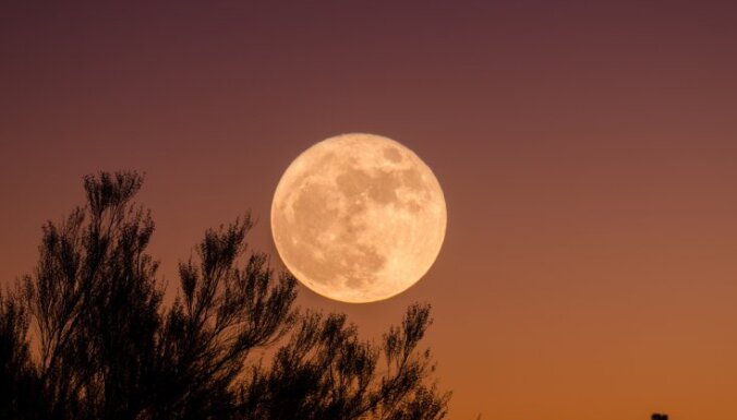 Не пропустите: завтра можно увидеть Кровавую Луну. Самые интересные небесные феномены года