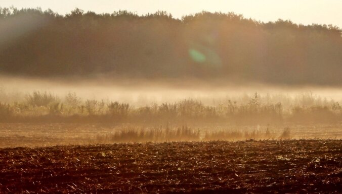 В ночь на вторник местами в Латвии образуется туман, а днем будет тепло