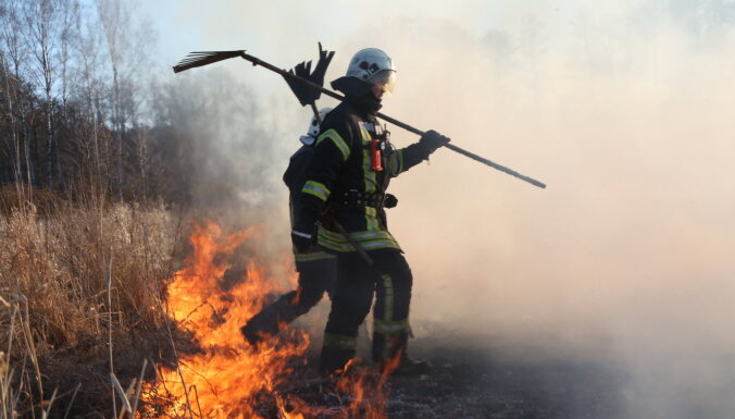 В Саласпилсской волости загорелся лес, выгорело несколько гектаров молодых саженцев