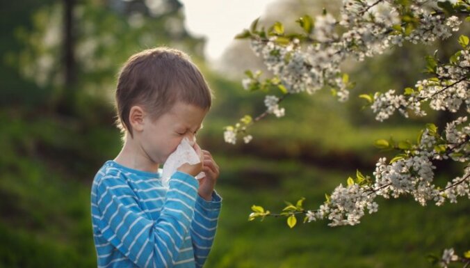 Опрос: около 65% жителей стран Балтии страдает от симптомов аллергии