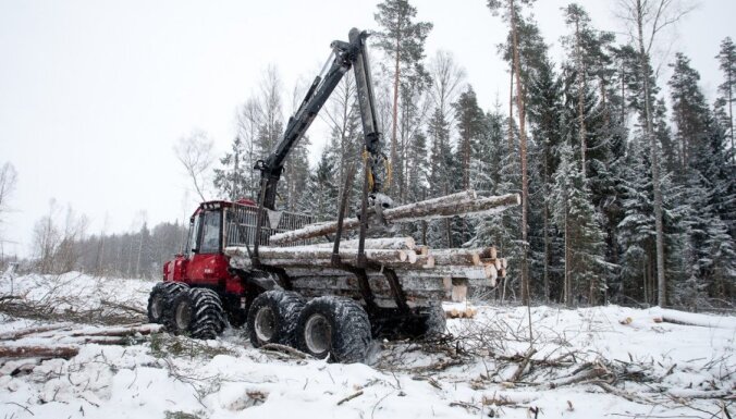 Par neatļautu meža ciršanu būs jāmaksā daudzkārt lielāki sodi