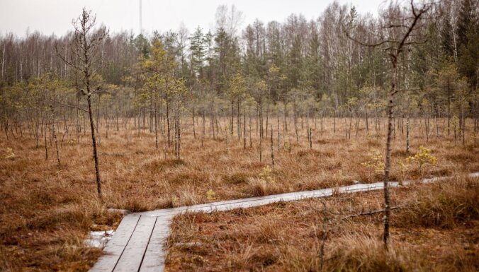 Быстро погулять и домой: Топ-6 коротких, но очень красивых природных троп в Латвии